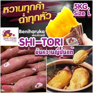 🍠🇯🇵มันหวานญี่ปุ่นเบนิฮารุกะ Size L•[5KG] แบรนด์ SHI-TORI 🇯🇵🍠#มันหวาน#มันญี่ปุ่น#เบนิฮารุกะ#ชิโทริ #shitori #SweetPotato