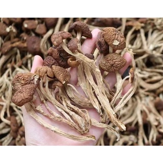 เห็ดโคนญี่ปุ่นแห้งA（茶树菇），สามาราถนำมาประกอบอาหารได้หลากหลายเมนู ที่สำคัญกว่านั้นคือมีประโยชน์ที่ดีต่อสุขภาพเป็นอย่า