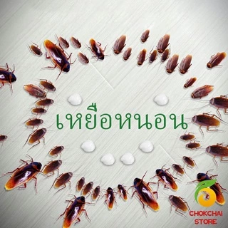 Chok เหยื่อกำจัดแมลงสาบ ตายยกรัง!! Insecticidal bait