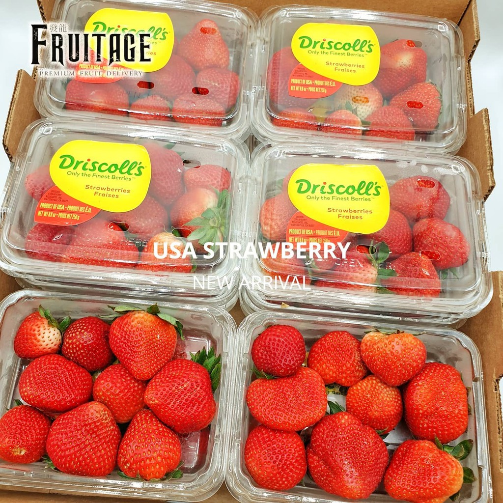 สตอเบอรี่สดนำเข้า จากอเมริกา/ออส Strawberry (Usa/Aus) (ยกลัง) ~ลดพิเศษ~  Premium สตรอเบอรี่ (สตรอว์เบอร์รี่นอก) | Shopee Thailand