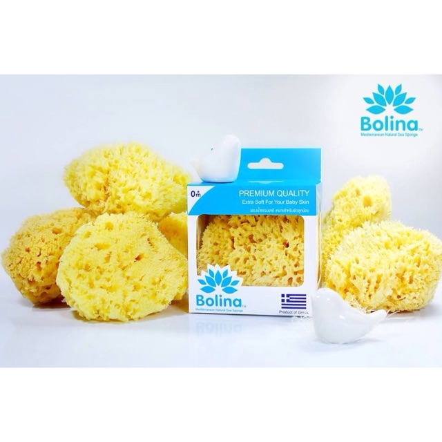 โบลิน่า (BOLINA) ฟองน้ำธรรมชาติแท้ 100% ไซด์ใหญ่ (L)