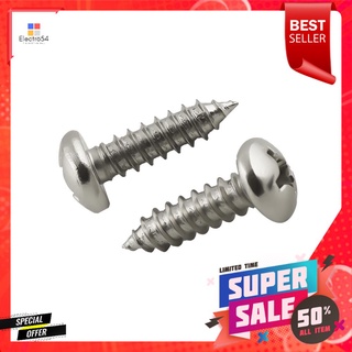 สกรูเกลียวปล่อย TP DEXZON 12X3/4 นิ้ว 25 ตัวSELF-TAPPING SCREWS TP DEXZON 12X3/4IN 25EA