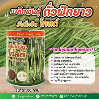 เมล็ดพันธุ์ถั่วฝักยาวมันนี่กรีนโกลด์ ขนาด 500 กรัม