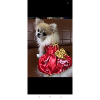 ชุดจีนหมาเสื้อตรุษจีนหมาชุดจีนหมาแมวราคาพิเศษ