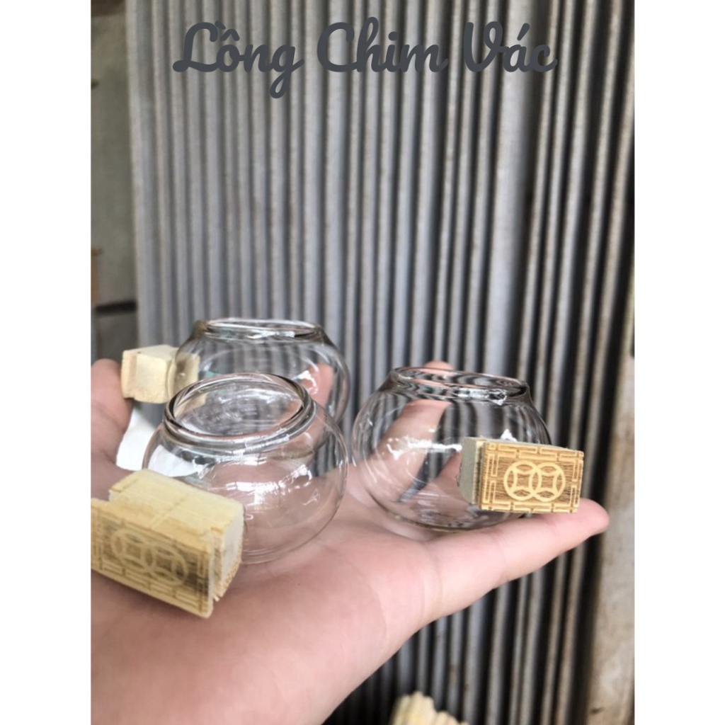 GLASSES SET 3 ใบ CHILDRENS EARS - กรงนกหิ้ว