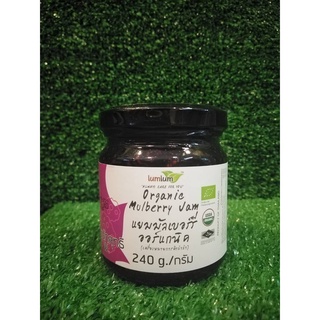 Organic Mulberry Jam 240g