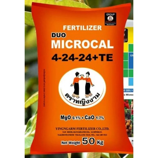 ปุ๋ย​หญิง​งาม​ 4-24-24  แบ่ง​ขาย​ขนาด​1​กิโลกรัม​ #​ปุ๋ยคลอไรด์ เร่งดอก สะสมอาหาร​ เพื่อการออกดอก