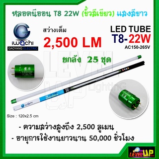 (ยกลัง 25 หลอด)หลอดไฟนีออน LED T8 22W (ขั้วสีเขียว) หลอดประหยัดไฟ T8 IWACHI หลอดไฟแบบยาวแสงสีขาว DAYLIGHT รับประกัน 1 ปี