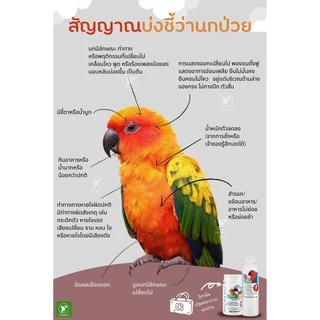 วิตามินรักษาอาการป่วยนก Polyaid Plus