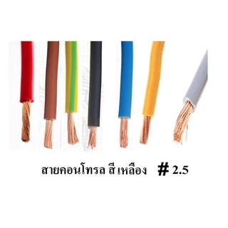 สายไฟเดี่ยวทองแดงแท้ 2.5 sq.mm สายคอนโทรล VSF 1x2.5 SQ.MM ความยาว 10 เมตร ใช้กับไฟ 12V - 220V ได้