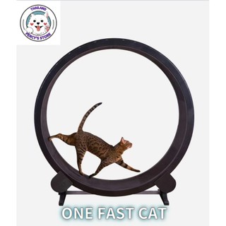 &lt;ONE FAST CAT&gt;ลู่วิ่งแมว ขนาดใหญ่ ล้อวิ่งไม้ ที่วิ่งแมว 122cm ลู่วิ่งสำหรับสัตว์เลี้ยง ของเล่นแมว การออกแบบที่เงียบสงบ