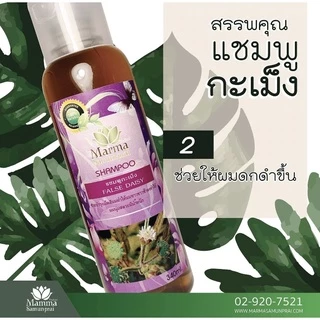 แชมพูกระเม็ง (มะมาสมุนไพร)