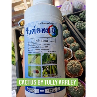 ไวต์ออยล์ น้ำมันธรรมชาติ (Natural oil) กำจัดศตรูพืช(เพลี้ยไฟ/แป้ง/หอย)ปลอดภัยสูง เคลือบผิวไม้ให้เงางามไม่ทิ้งคราบ