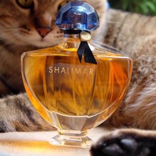 Guerlain Shalimar Parfum