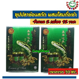 (Pack 2)LONG FENG BRAND ESSENCE OF FISH ซุปปลาช่อนสกัดผสมโสมถั่งเช่าและปักคี้เข้มข้น ของกินมากคุณค่าด้วยสารอาหารหลากหลาย