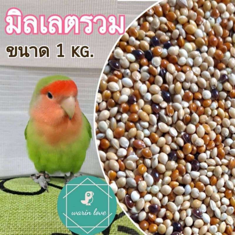 มิลเลตรวม 3 สี มิลเลตรวม อาหารสำหรับนก อาหารเสริมสำหรับนก (ขนาดเล็ก)