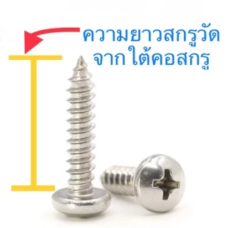 สกรูเกลียวปล่อย หัวกลม P+ #10 สแตนเลส ทุกความยาว ตะปูควง หัวนูน หัวกระดุม
