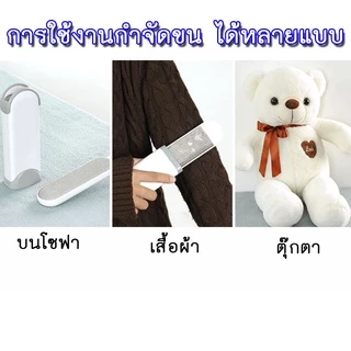 PP-182 แปรงเก็บขนสัตว์ตามเสื้อผ้าที่สะอาด สำหรับการกำจัดขนหมาและขนสัตว์เลี้ยง พร้อมสำหรับการใช้งานทุกที่ พร้อมส่ง✅