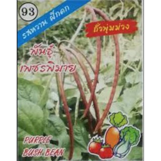 AAA 🇹🇭 ผักซอง A093#ถั่วพุ่มม่วง(พันธุ์เพชรพิมาย)  เมล็ดพันธุ์ เมล็ดพันธุ์ผัก เมล็ดพันธุ์ ผั50 เมล็ด (ไม่ใช่พืช)