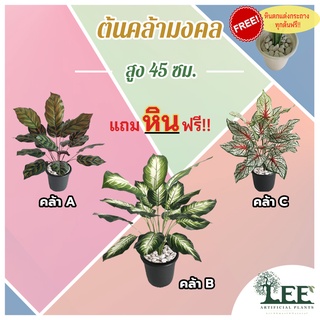 ต้นคล้ามงคล เสมือนจริง สูง 45 ซม. #ต้นไม้ปลอมตกแต่งบ้าน Leeartplants