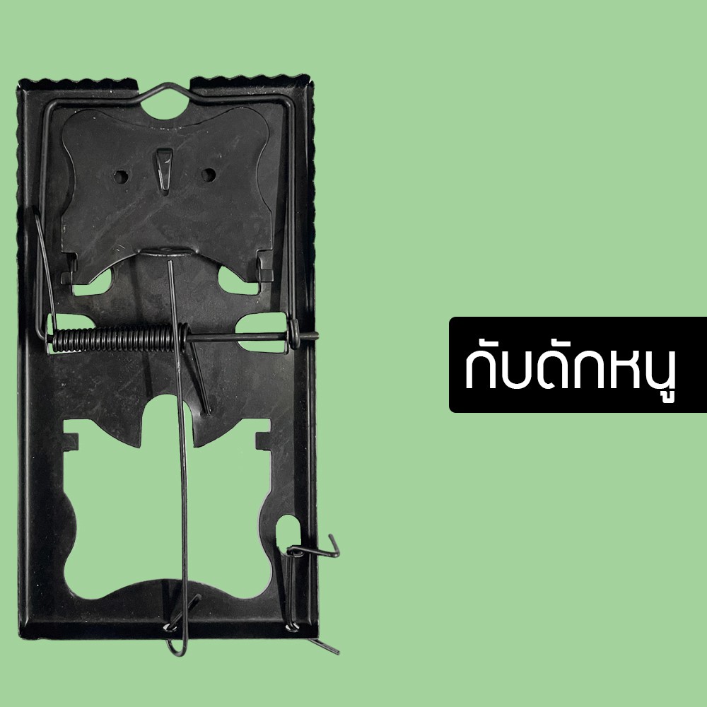 กับดักหนู แบบสปริง ที่ดักหนู กับดักหนูแบบหนีบ กับดักหนูแบบตี กับหนู ดักหนู