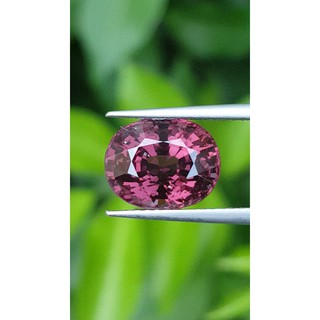 สปิเนล พม่า (Spinel 尖晶石 Myanmar) 4.60 กะรัต (Cts.克拉) VVS ดิบ Unheated 未加热的