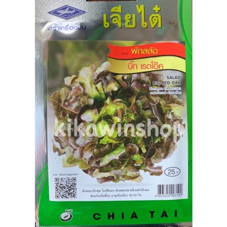 เมล็ดพันธ์ุ ผักสลัด บิ๊ก เรดโอ๊ค
