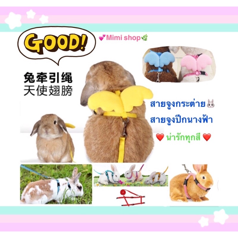 สายรัดอก+สายจูงกระต่าย มี3 รุ่น Basic 115.-/ รุ่นปีกนางฟ้า 118.-/ รุ่น rainbow 98.- *****พร้อมส่งทันที****