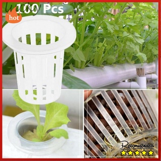 Vegetable Net Cups 35*35mm 100pcs Vegetables Pots For Hydroponics/Aquaponics/Orchids Vegetable Net Cup Brand new