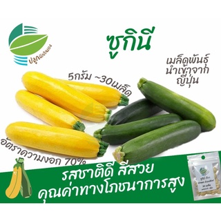 เมล็ดพันธุ์ ซูกินี (Zucchini)