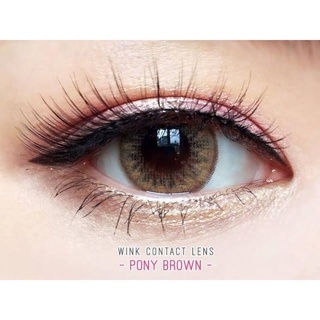 คอนแทคเลนส์ (Wink) Pony Chestnut (สีน้ำตาล) ปกติ 0.00