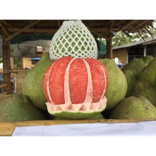 ส้มโอทับทิมสยาม น้ำหนัก 0.8-0.9 กกต่อลูก(ส้มตลาด)