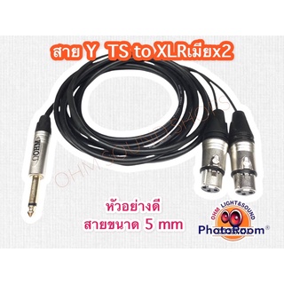 สาย Y TS  to XLRเมียx2 1/4 ราคาประหยัด 5 mm สายไมค์ สาย แจ็ค กีต้าร์ สายแยก