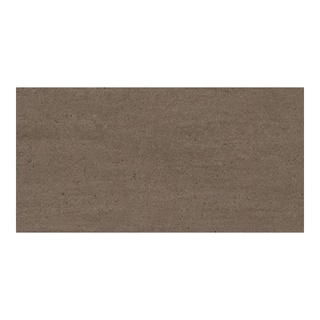 BASIC กระเบื้อง SANDS BROWN NATURAL (36P002D) 30X60 *A