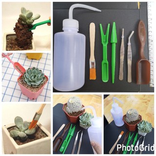 (โล๊ะ)อุปกรณ์​ปลูก, ชุดดูแลแคค​ตัส​กุหลาบหิน ชุด7ชิ้น 🌵ร้านชอบCactusSucculent​🌵