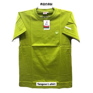 เสื้อยืดแตงโมสีเขียว(no.33)