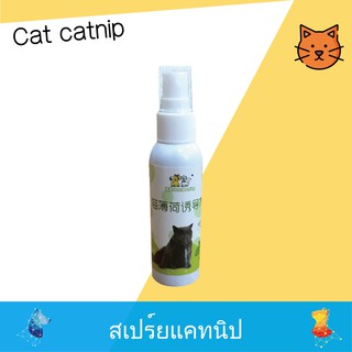 สเปร์ยแคทนิป แมว 50ML ช่วยให้แมวรู้สึกผ่อนคลาย CN007