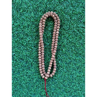 Tibetan Mala Rudraksha สร้อยประคำเม็ดรุทรักษะ หรือน้ำตาพระศิวะ