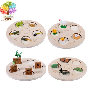 Treeyear Life Cycle Kit ของเล่น Montessori - ฟิกเกอร์เหมือนจริง ของเล่นเด็ก ฟิกเกอร์สัตว์ ชุดจับคู่เกม สําหรับเด็ก