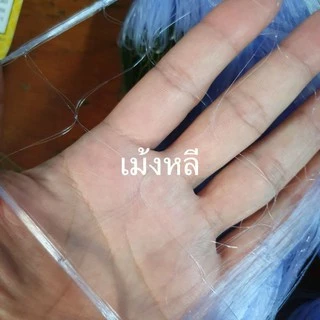 ตาข่ายดักปลา200เมตร (2เซน-16เซน) ใยบัว 0.15📌 ลึก20/30/40/50/75/100ตา (มีเชือกบนพร้อมใช้งาน)
