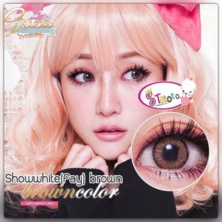 Fay Brown  TATOTO Contact Lenses บิ๊กอาย #72