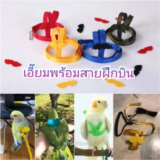 🦜เอี๊ยมนกแก้ว🦜 พร้อมสายฝึกบิน มีปีกน่ารักๆ🐦