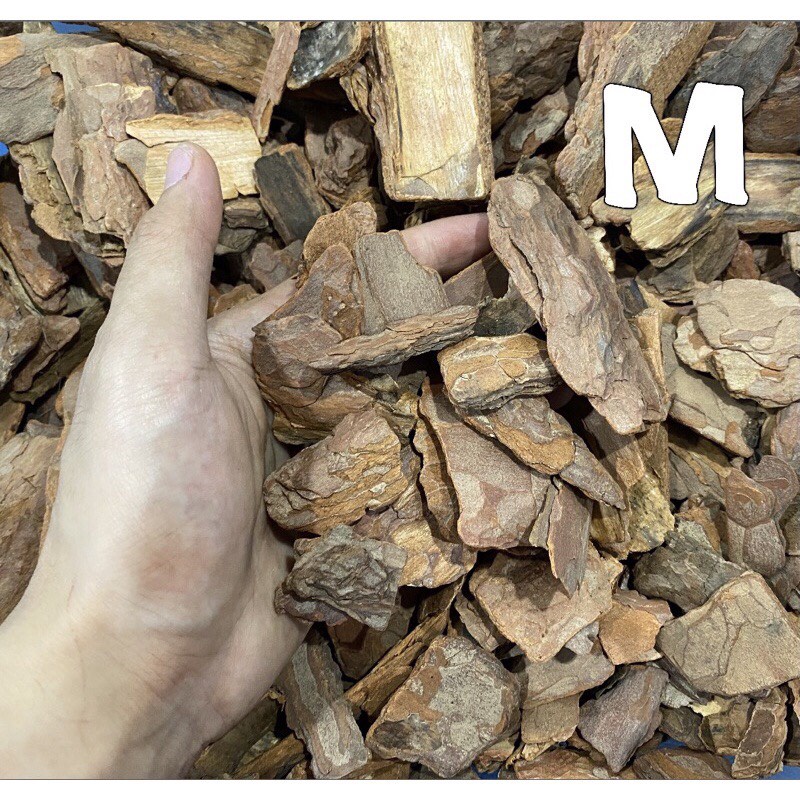 Pine Bark Bedding รองพื้นทำจากเปลือกไม้สำหรับเต่าบกและสัตว์เลื้อยคลาน 6ลิตร ราคา ถูกที่สุด ดีลบีเคเค แกลเลอรีภาพที่ 2