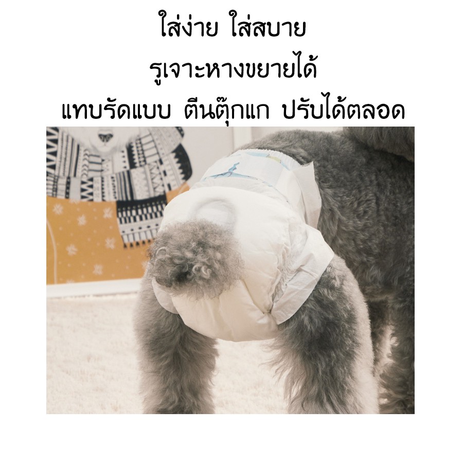 TOMCAT PAKEWAY BY PET8 (DP25) กางเกงอนามัย ไซส์ XL จำนวน 10 ชิ้น ราคา ถูกที่สุด ดีลบีเคเค แกลเลอรีภาพที่ 4
