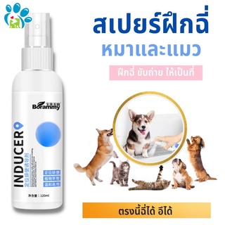 🐱สเปรย์ฝึกฉี่หมา/แมว🐶 สเปร์ยฝึกขับถ่ายสุนัขและแมว สเปรย์ฝึกฉี่ลูกสุนัข ฉีดในบริเวณที่ต้องการให้ฉี่หรือขับถ่าย 120 ml