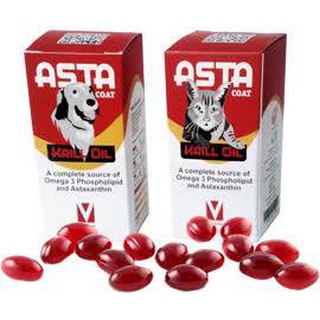 ASTA coat krill oil (Exp.06/2024) อาหารเสริมบำรุงผิว ช่วยในการลดอักเสบ บำรุงข้อ สำหรับสุนัขและแมว บรรจุ 50 เม็ด