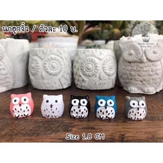 🦉นกฮูกจิ๋วหลากหลายสี