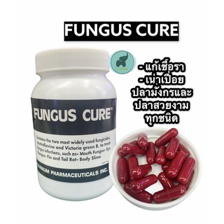 FUNGUSฟังกัส แบ่งขาย