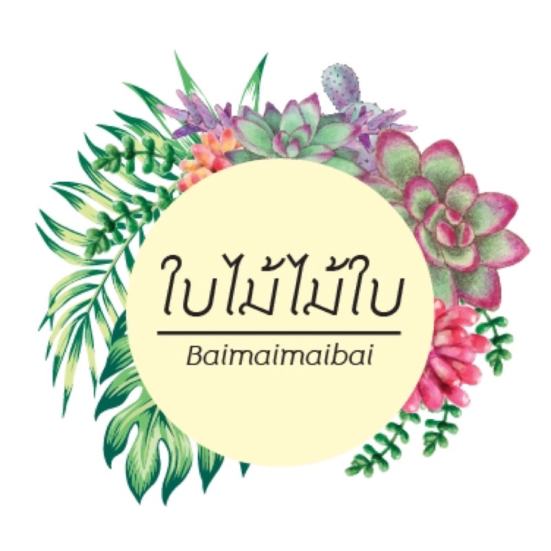 ดินปลูกหน้าวัว-เฟิน-สับปะรดสี 3 กิโลกรัม ราคา ถูกที่สุด ดีลบีเคเค แกลเลอรีภาพที่ 5