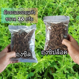 ผักแขยง อบแห้ง 20g. ถุงซิปล็อค/ถุงซีล #สมุนไพรผักแขยง/ผักกะออม/Rice paddy herb